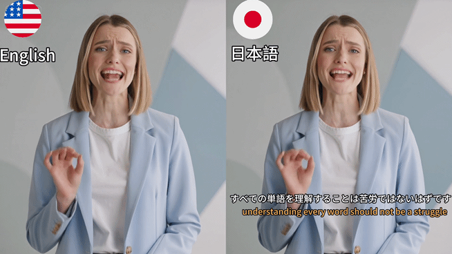 效果展示